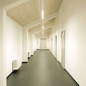 flz_06