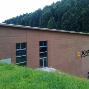 lignatur-vom_hang