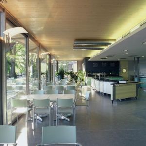mainau-lauen_02